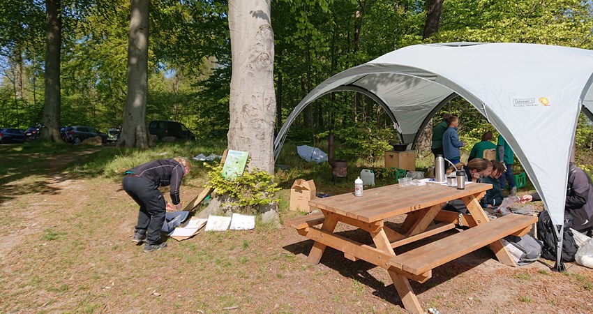Skovens dag 9 maj 2019 telt.JPG