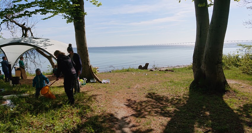 Skovens dag 9 maj 2019 udsigt.JPG