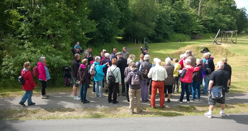 VildeBlomstersDag0616 (12).jpg