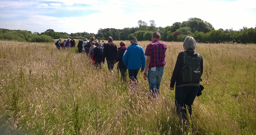 VildeBlomstersDag0616 (1).jpg