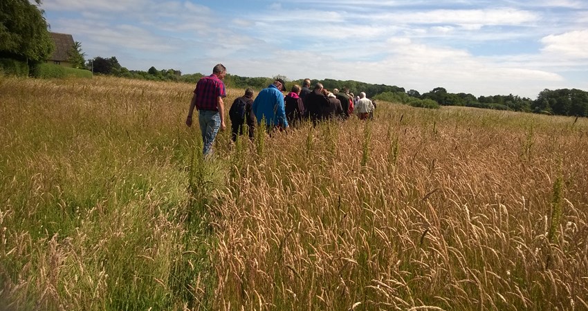 VildeBlomstersDag0616 (2).jpg