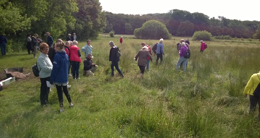 VildeBlomstersDag0616 (8).jpg