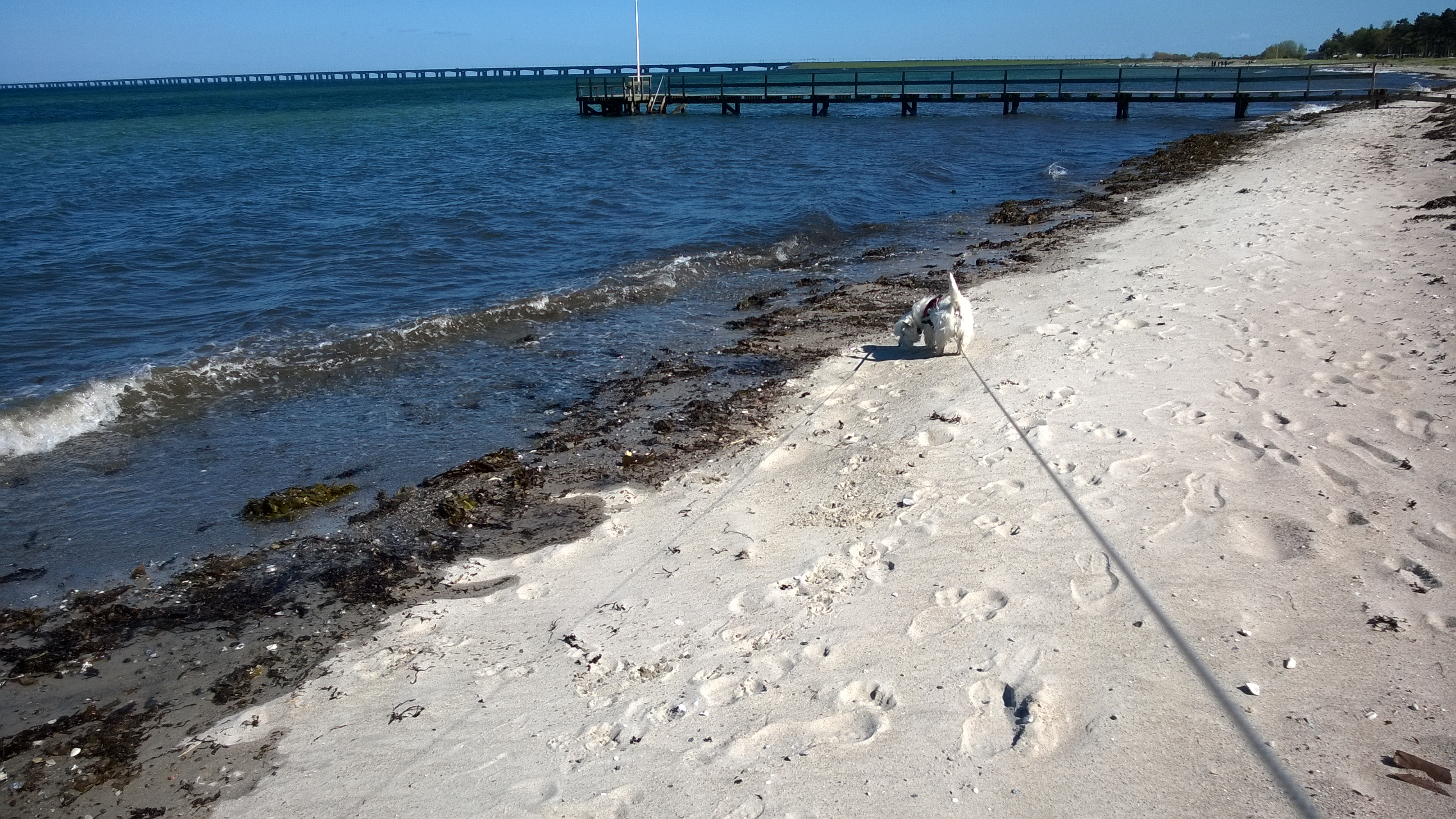 WP_20150510_007.jpg
